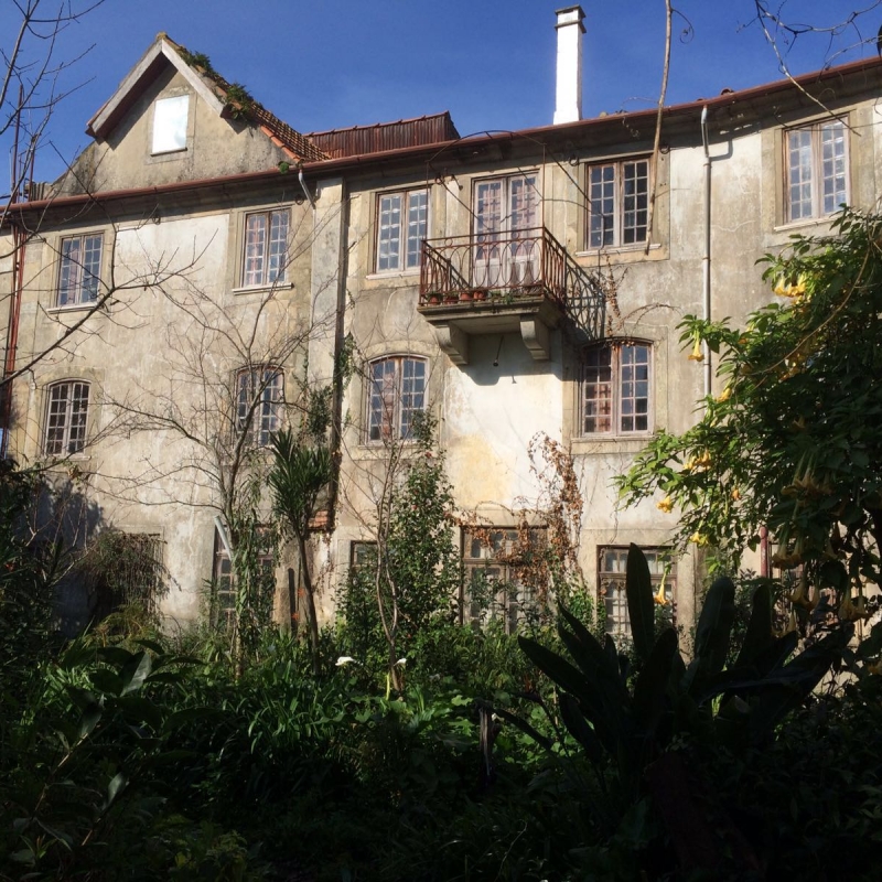Casa Camélia Casa Camélia